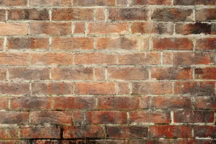 Old Grungy Brick Wall Background Texture   20090405 PHIL0116b 445x296 