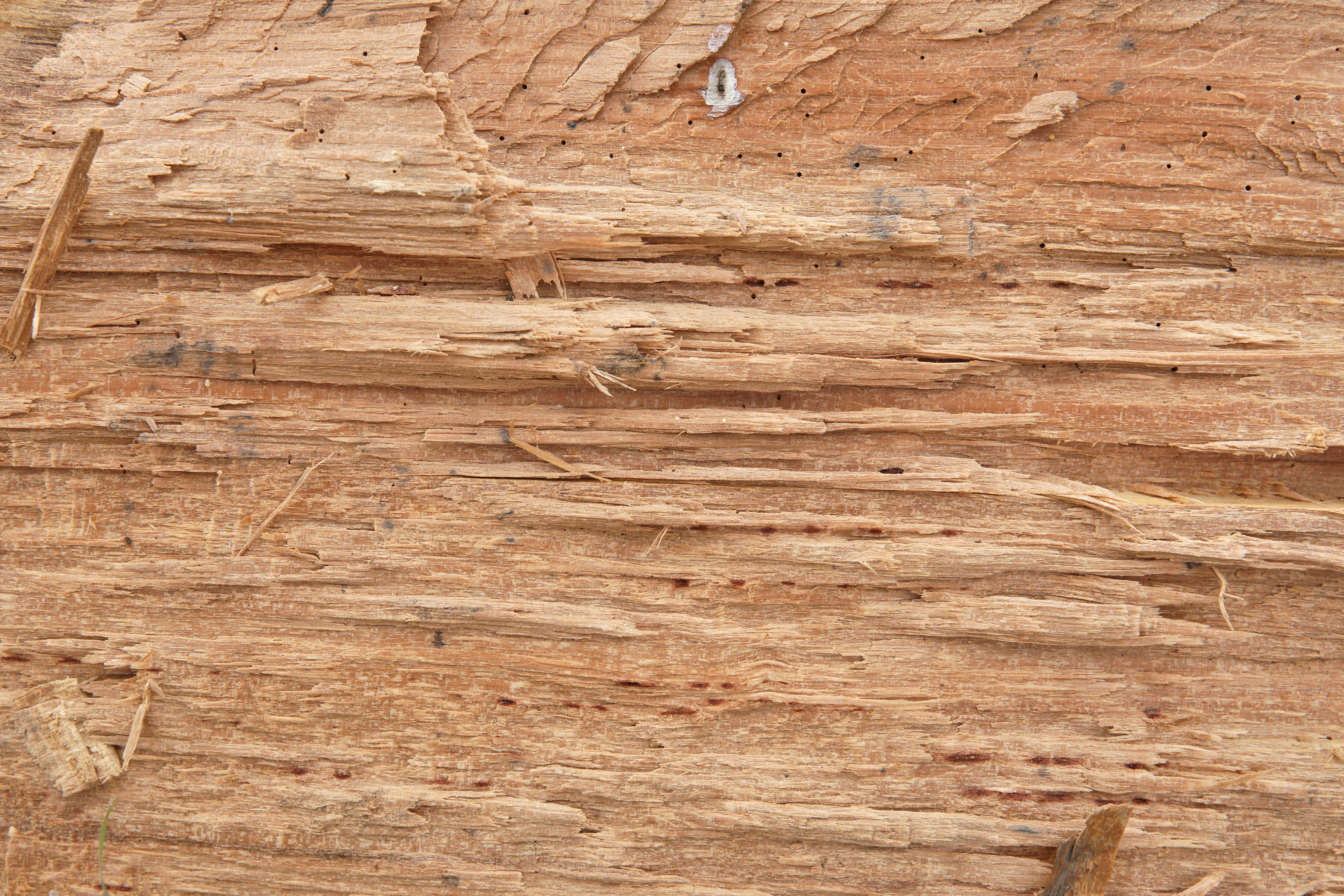 rough cut wood texture