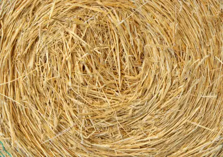 Straw texture – side on view of a round straw bale