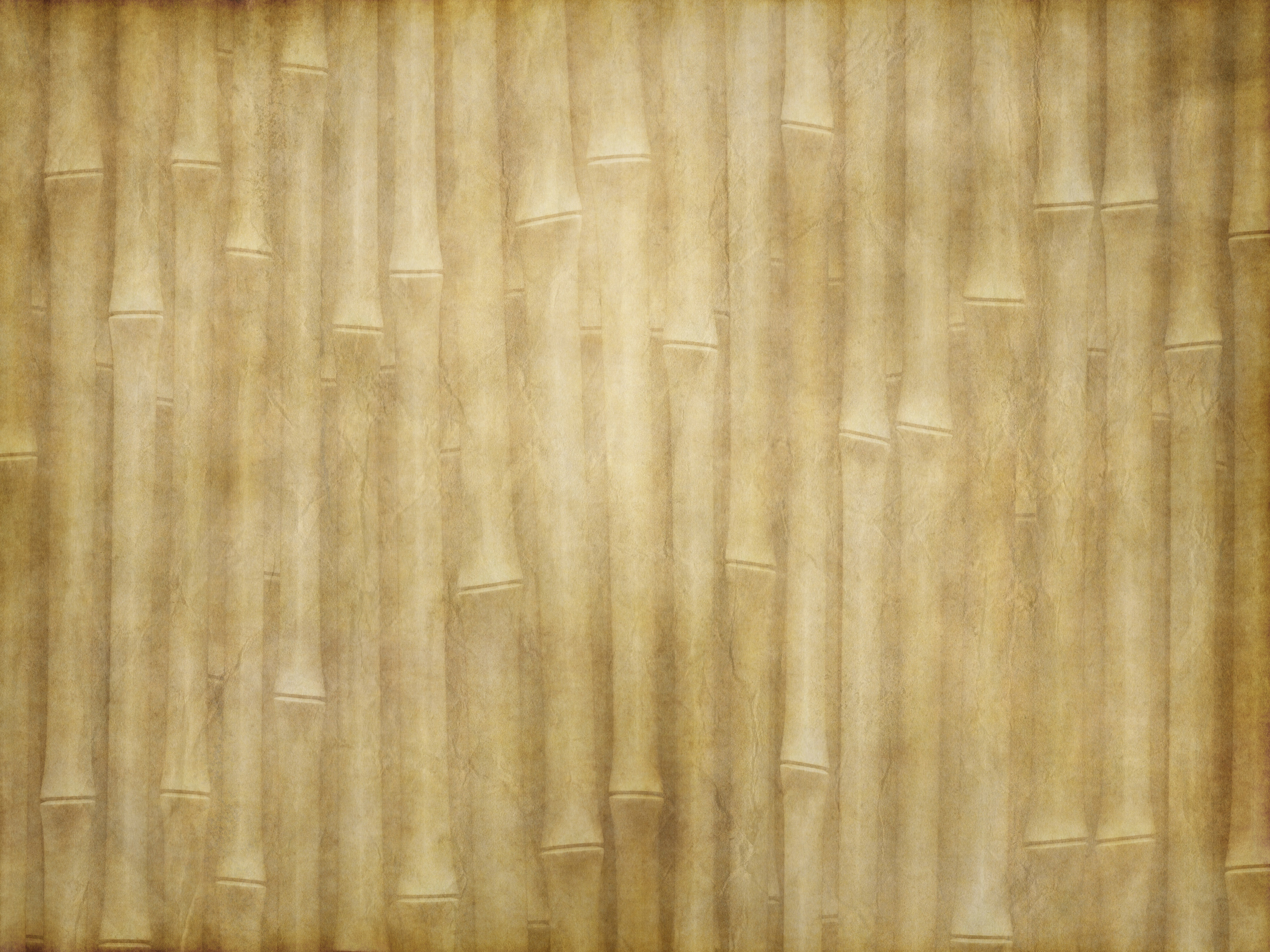 bamboo paper windows download