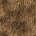 Soft Brown Fur Texture