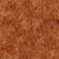 A cool seamless orange fur texture