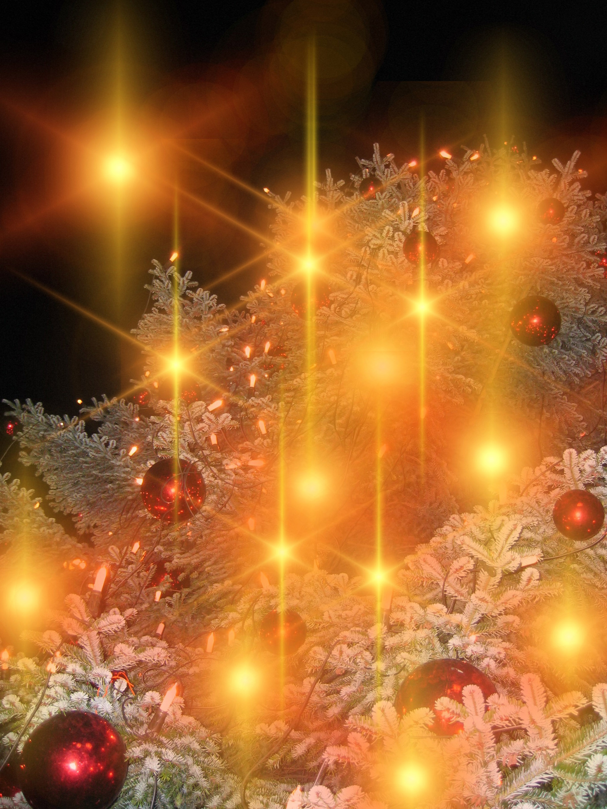 50 Great Free Pictures for Christmas Wallpaper, Background Images and Cards